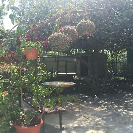 Guesthouse Milena Leselidze Exterior photo