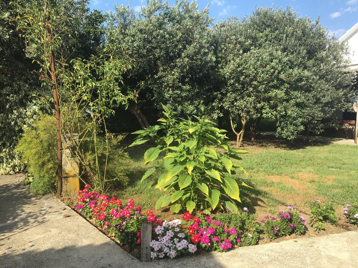Guesthouse Milena Leselidze Exterior photo