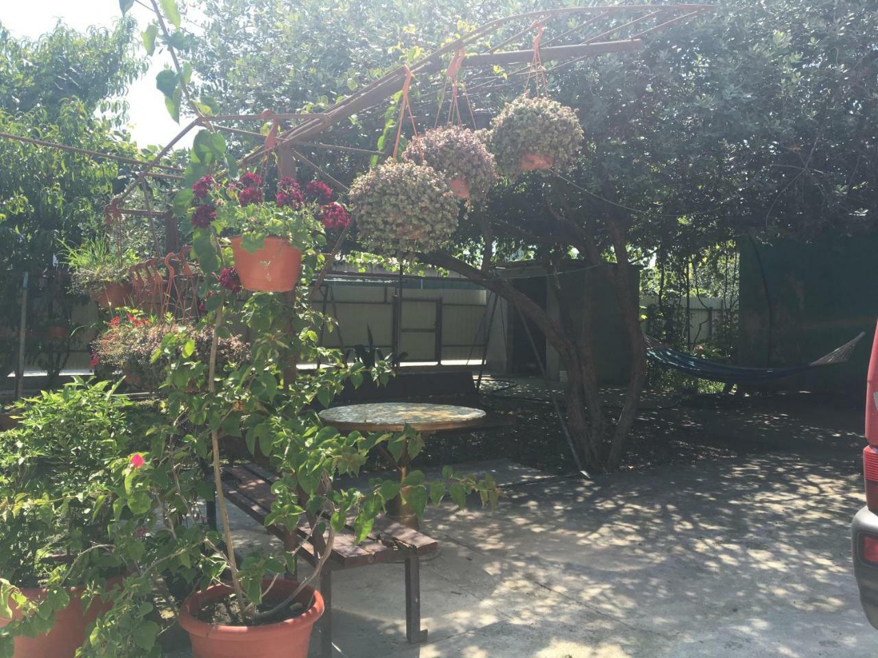 Guesthouse Milena Leselidze Exterior photo